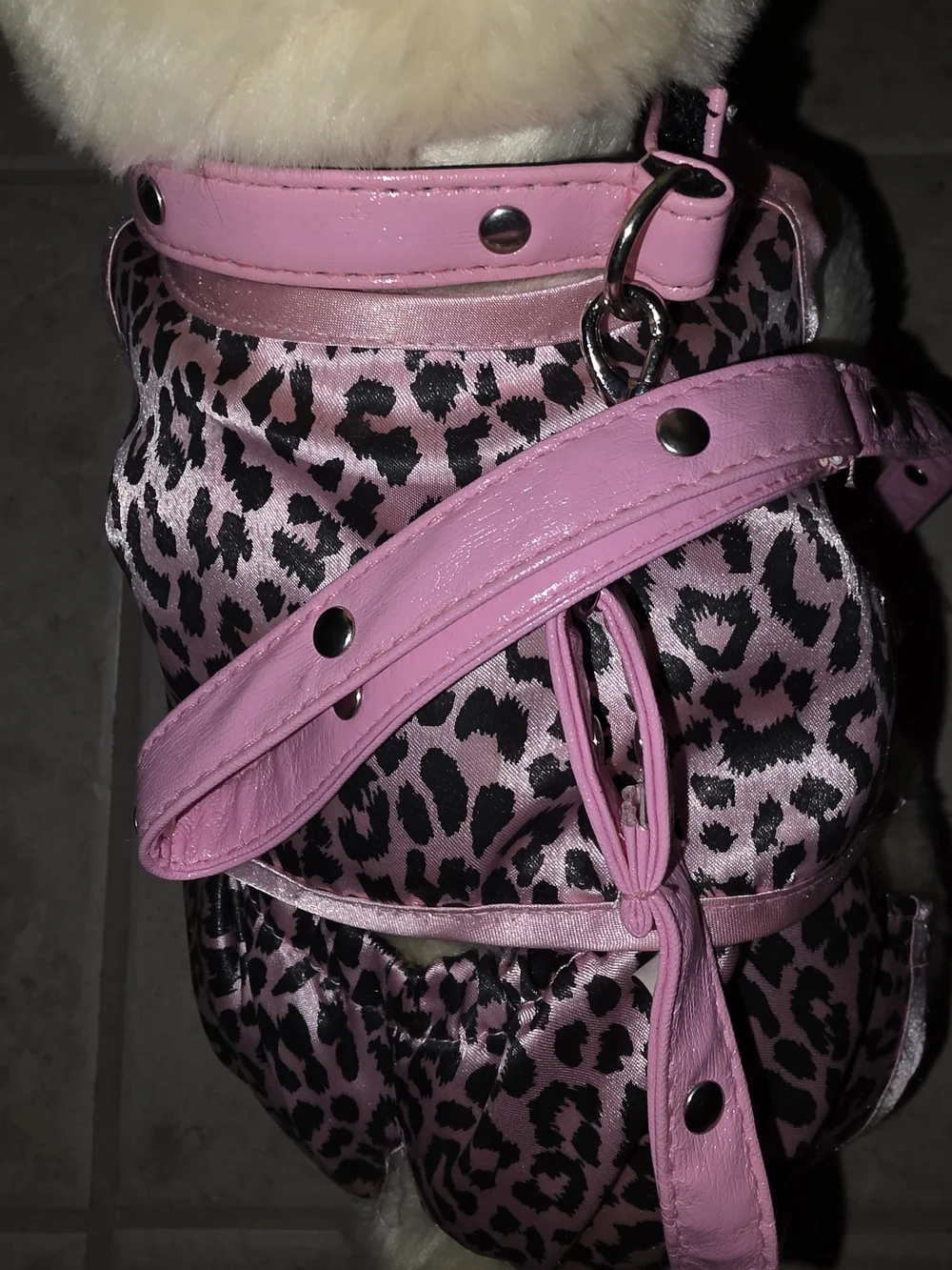 Build-A-Bear Cream Plush Dog  Pink Leash & 2 Pc Outfit $48 EUC